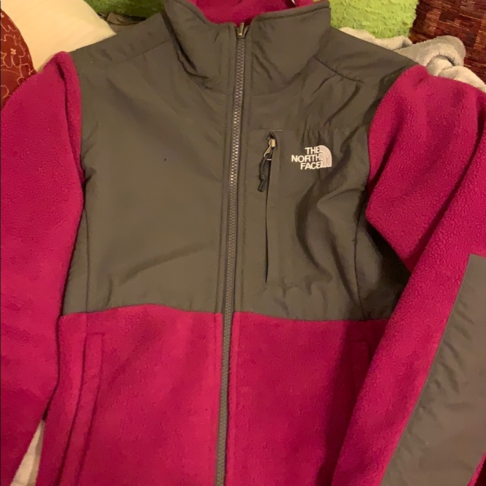 The north face coat